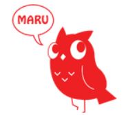 �����ڹͽ�